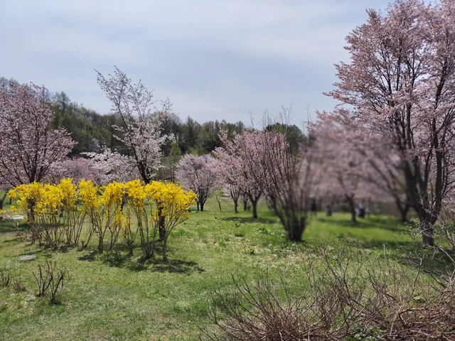 Niwayama Forest Natural Park