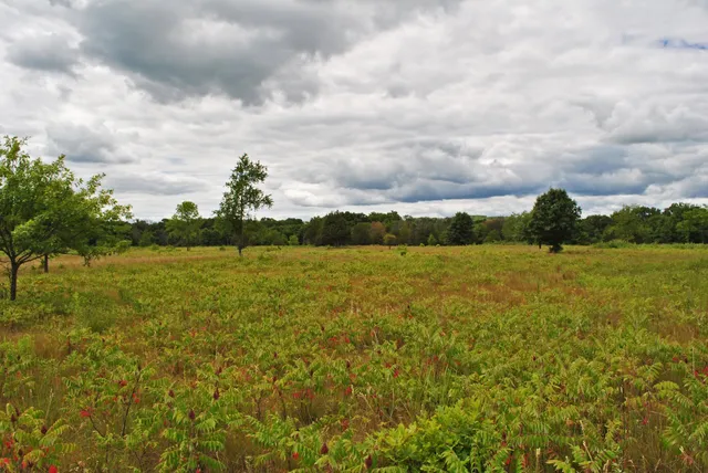 Standing Cedars State Natural Area
