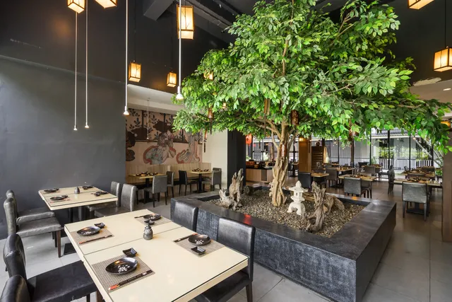 Haru Japanese buffet