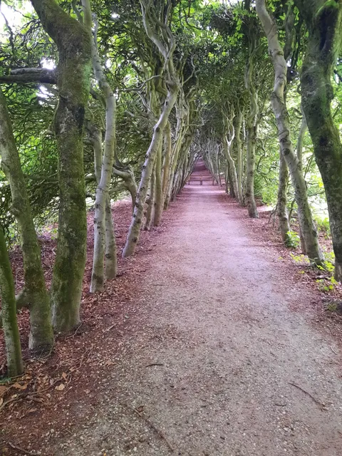 Klompenpad Rosandepad