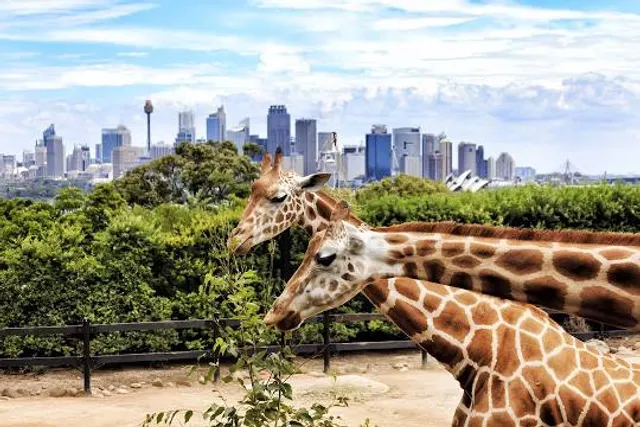 Taronga Zoo Sydney