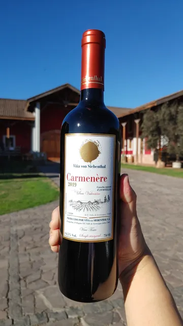 Viña von Siebenthal