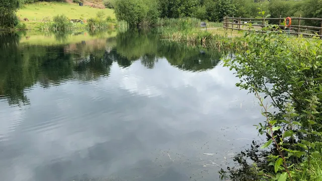 Eisteddfa Fishery & Cafe