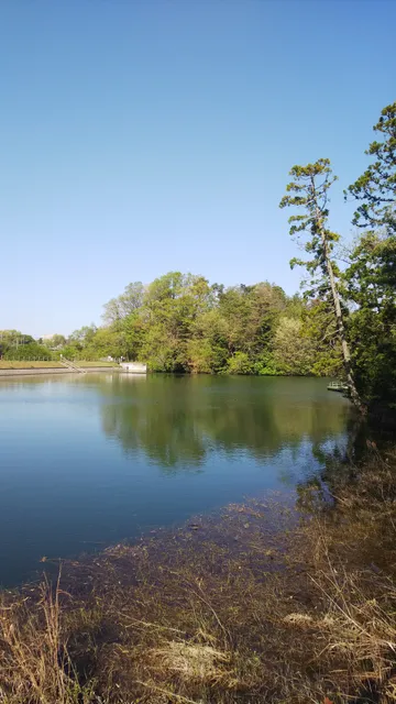 Ikoi-no-mori Park Information Office