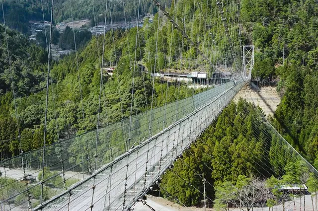 Tanize(Tanise) Suspension Bridge
