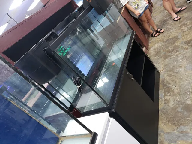 Discount Aquarium Fish and Reef