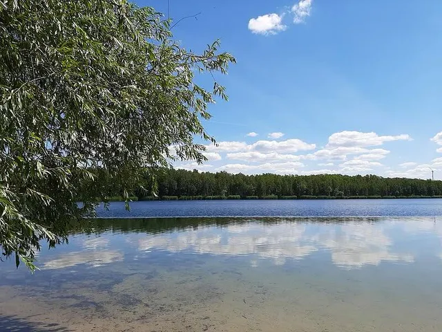 Zschornewitzer See