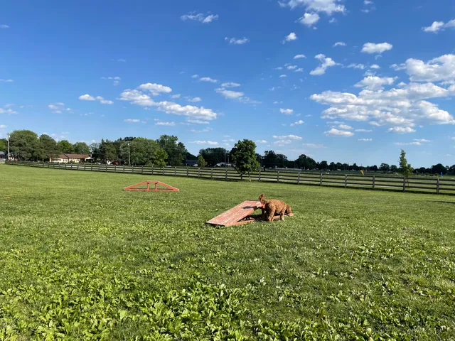 Wiggly Field Dog Park
