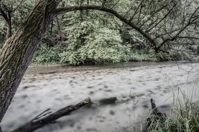 Oasi Fontane Bianche