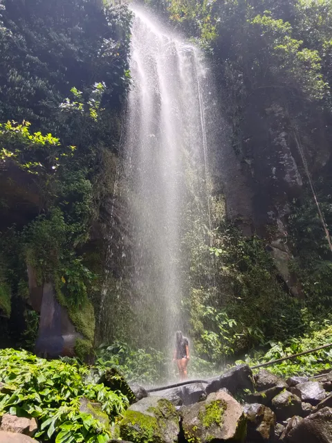 Consocep Nature Park