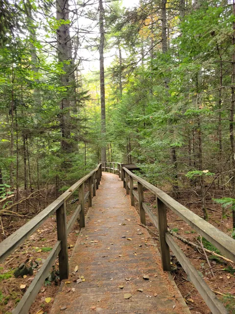 Stanwood Wildlife Sanctuary