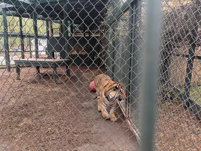 Bee City Zoo & Honey Bee Farm