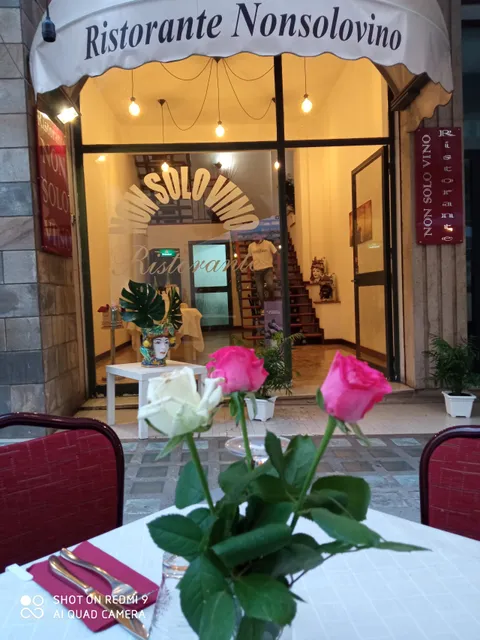 Non Solo Vino - Ristorante