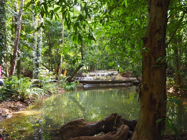 น้ำตกภูริน