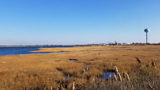 Lido Beach Passive Nature Area