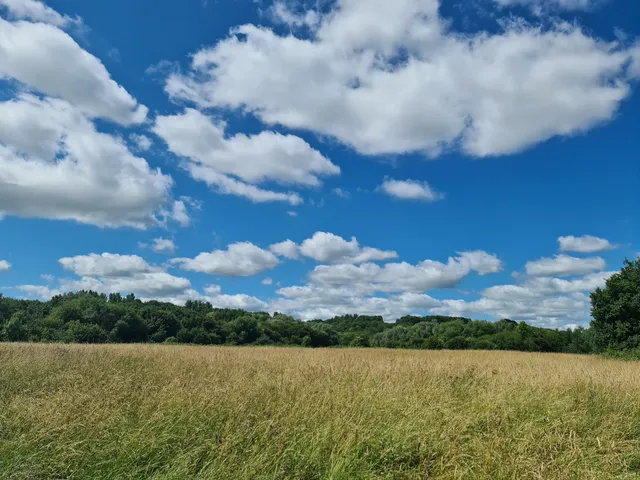 Stockwood Open Space Nature Reserve