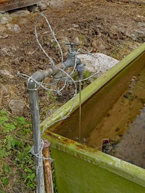 El Jardí dels Ocells