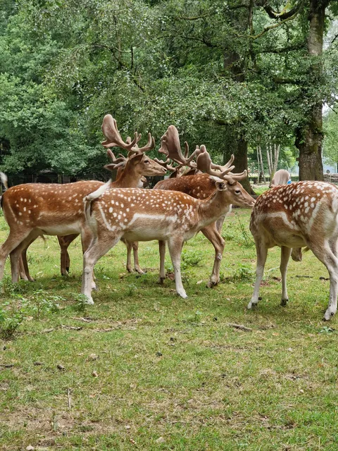Parc animalier de Charleville-Mézières