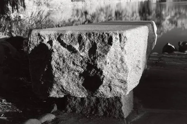 photo-1