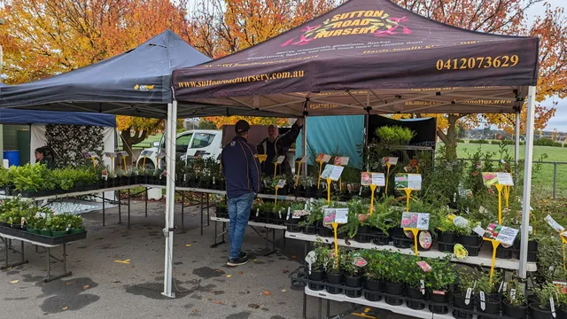 Capital Region Farmers Market