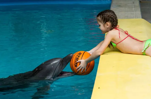 Дельфинарий «Морская Звезда»