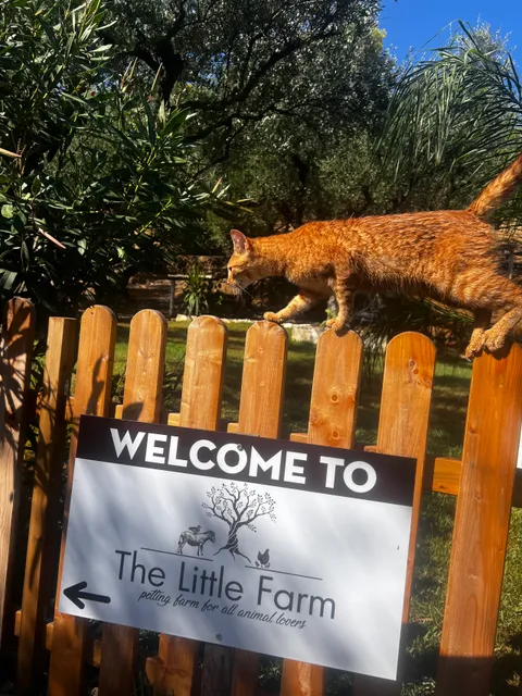 The Little Farm