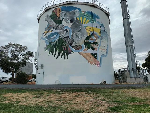 Narrandera Water Tower Art