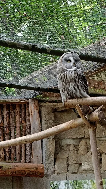 Friends of Wild Park Christianental e.V.