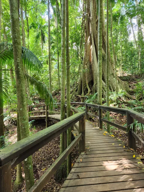 Maiala, D'Aguilar National Park