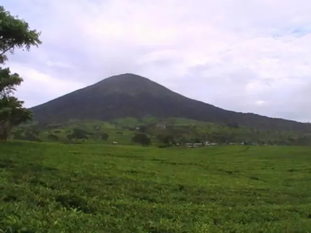 Villa ExMTQ Gunung Gare PagarAlam