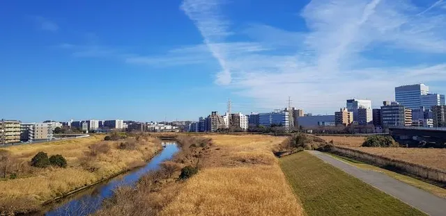 Shin-Yokohama Bridge