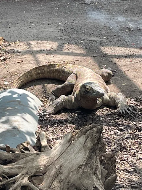 Australasia Pavilion