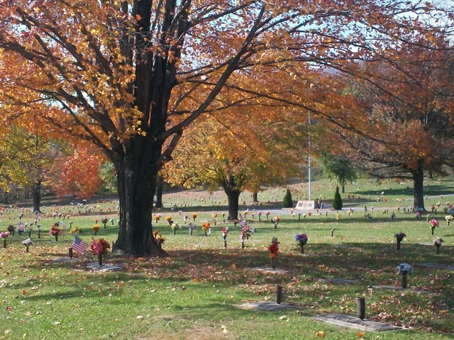 Alleghany Memorial Park