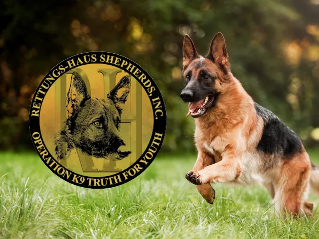 Rettungs-Haus Shepherds, Inc