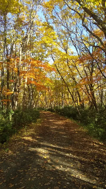 Nopporo Forest Park Mizuho Entrance