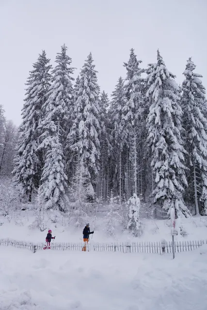 Foyer de Ski de Fond Besse Pertuyzat