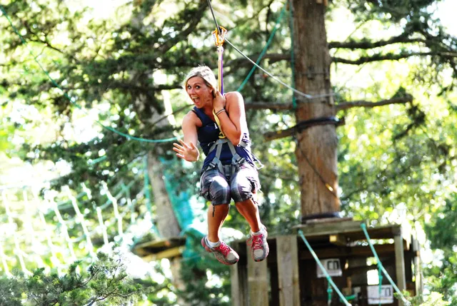 La Forêt d'Acrobates