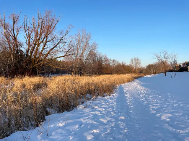 Henteleff Park Foundation