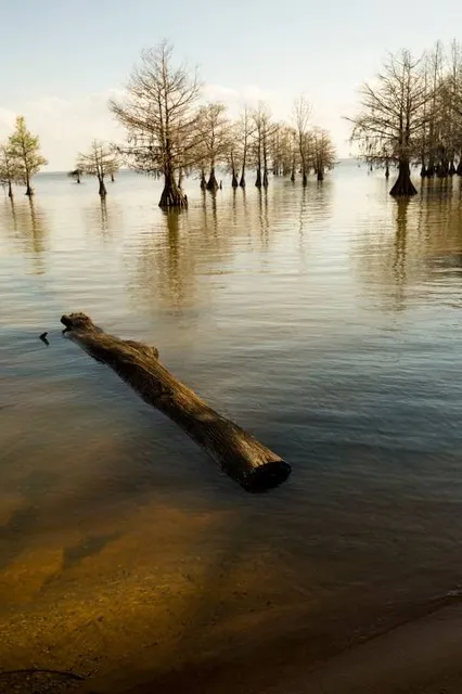 Earl G Williamson Park