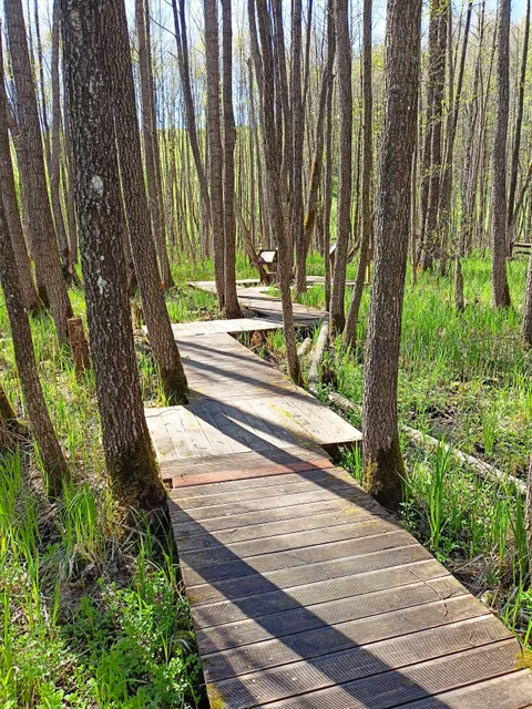 Ścieżka edukacyjna "Opowieści Turtula"