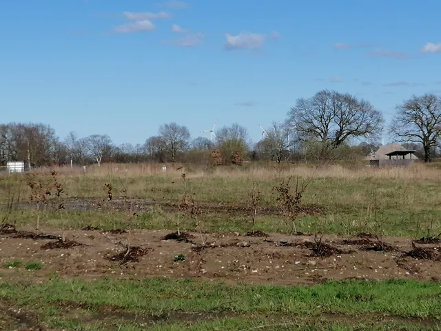 Schatzgrube Weißenberg