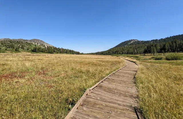 Tahoe Meadows Ophir Creek Trailhead