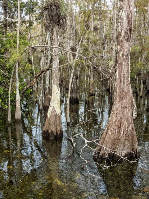 Big Cypress National Preserve