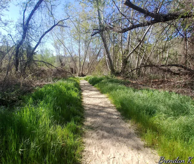 Santa Margarita County Preserve