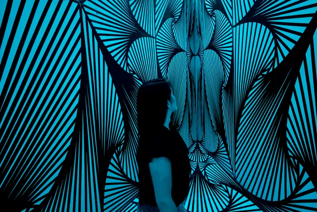 Paradox Immersive Art