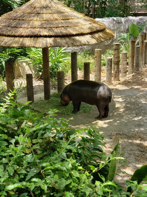 Florida: Mission Everglades