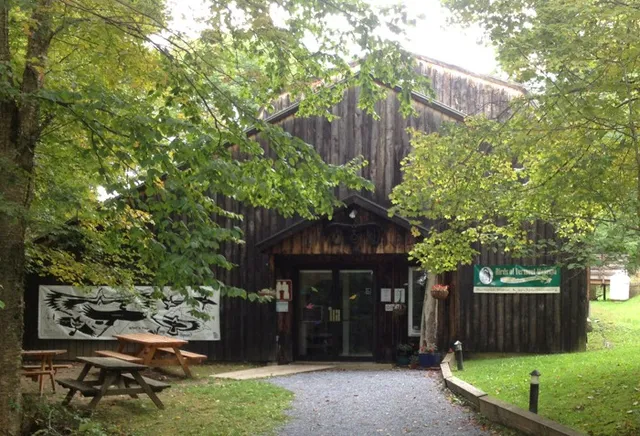 Birds of Vermont Museum