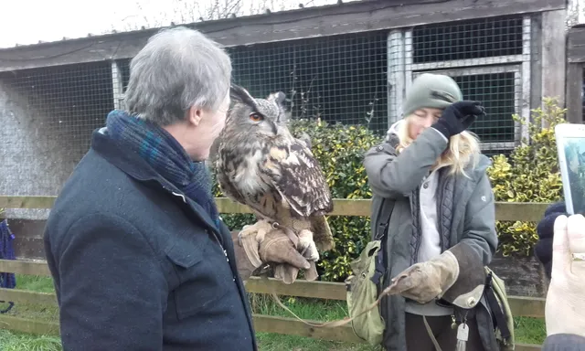 Vale Royal Falconry Centre