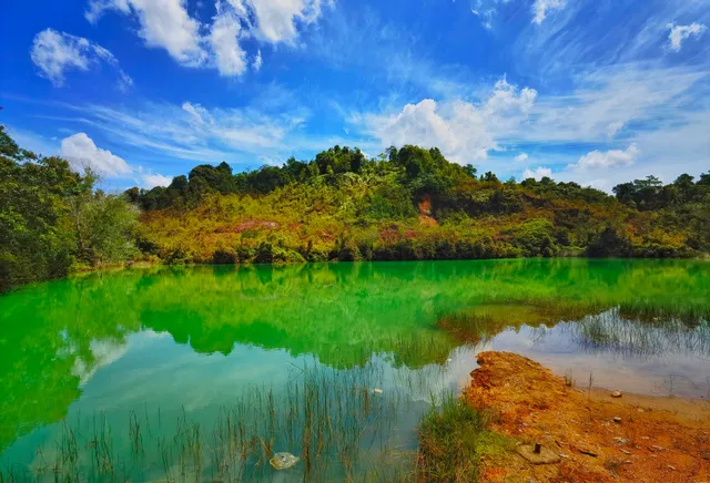 Jemaluang Emerald Lake (Tasik Hijau Jemaluang)