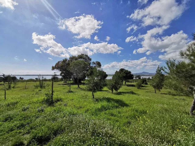 Pattihio Forest Park